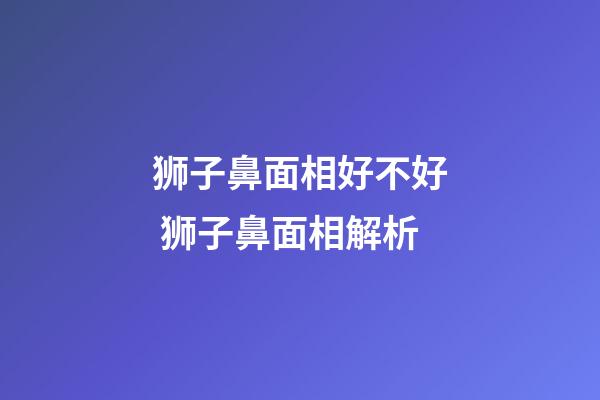 狮子鼻面相好不好 狮子鼻面相解析
